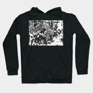 Python 11 Hoodie